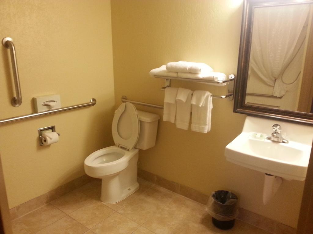 Quality Inn & Suites Saginaw Kamer foto