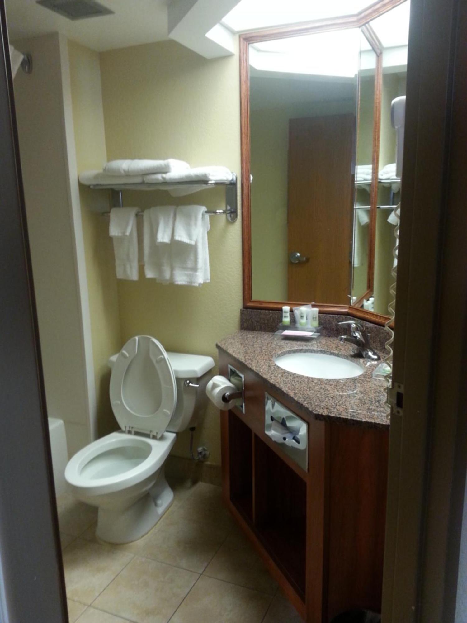 Quality Inn & Suites Saginaw Buitenkant foto