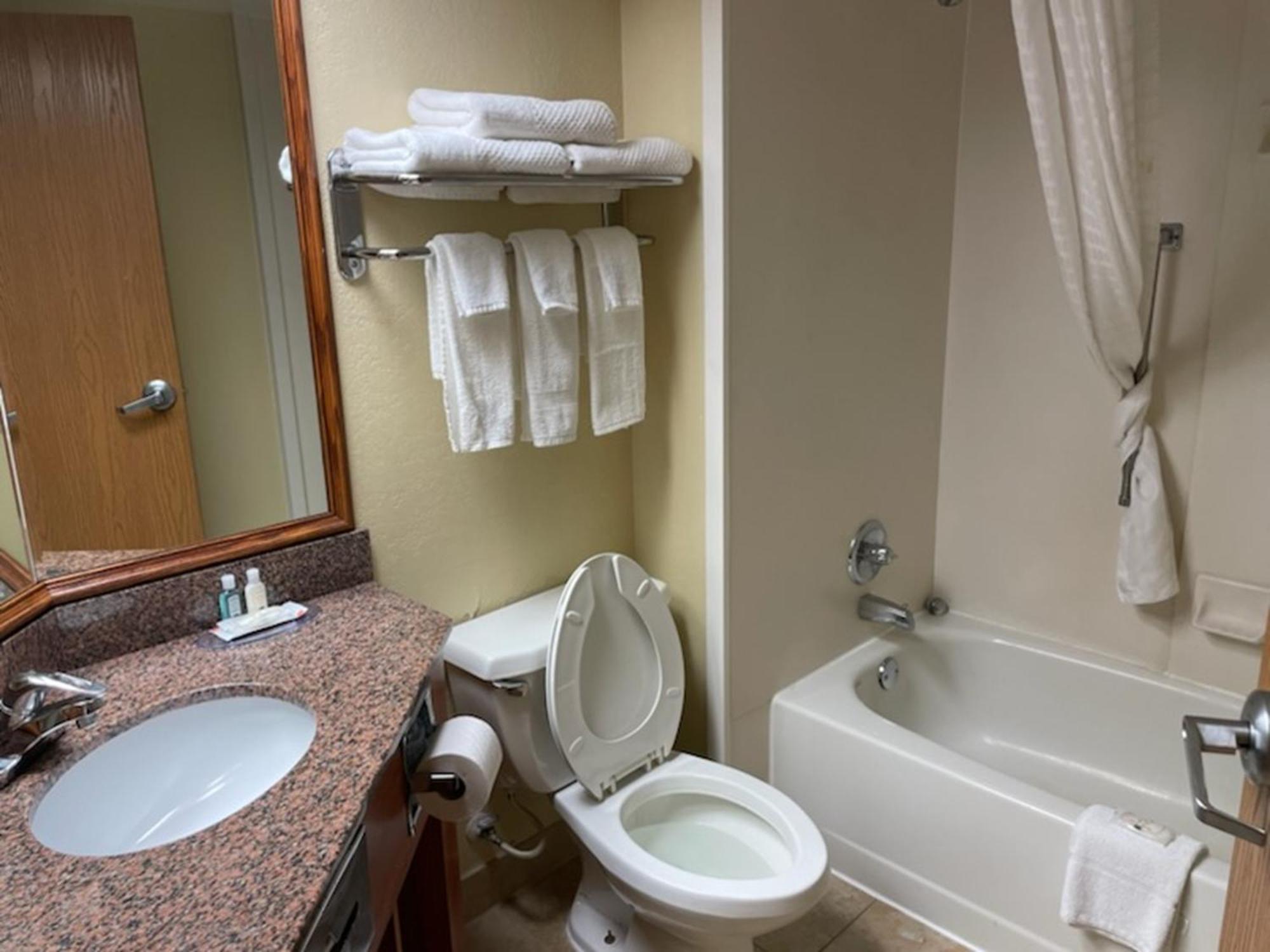 Quality Inn & Suites Saginaw Buitenkant foto