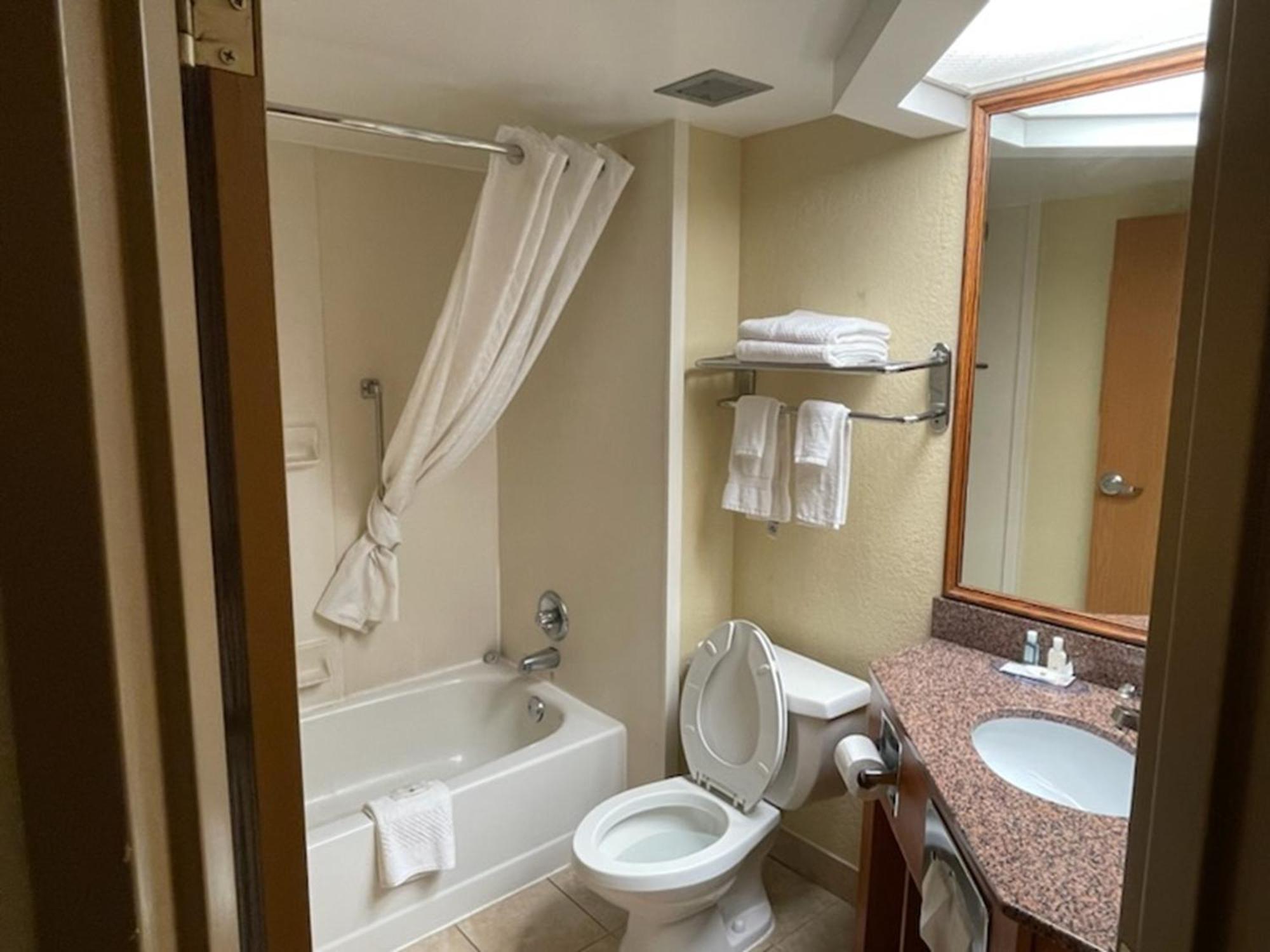 Quality Inn & Suites Saginaw Buitenkant foto